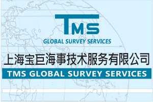 上海寶巨技術服務有限公司